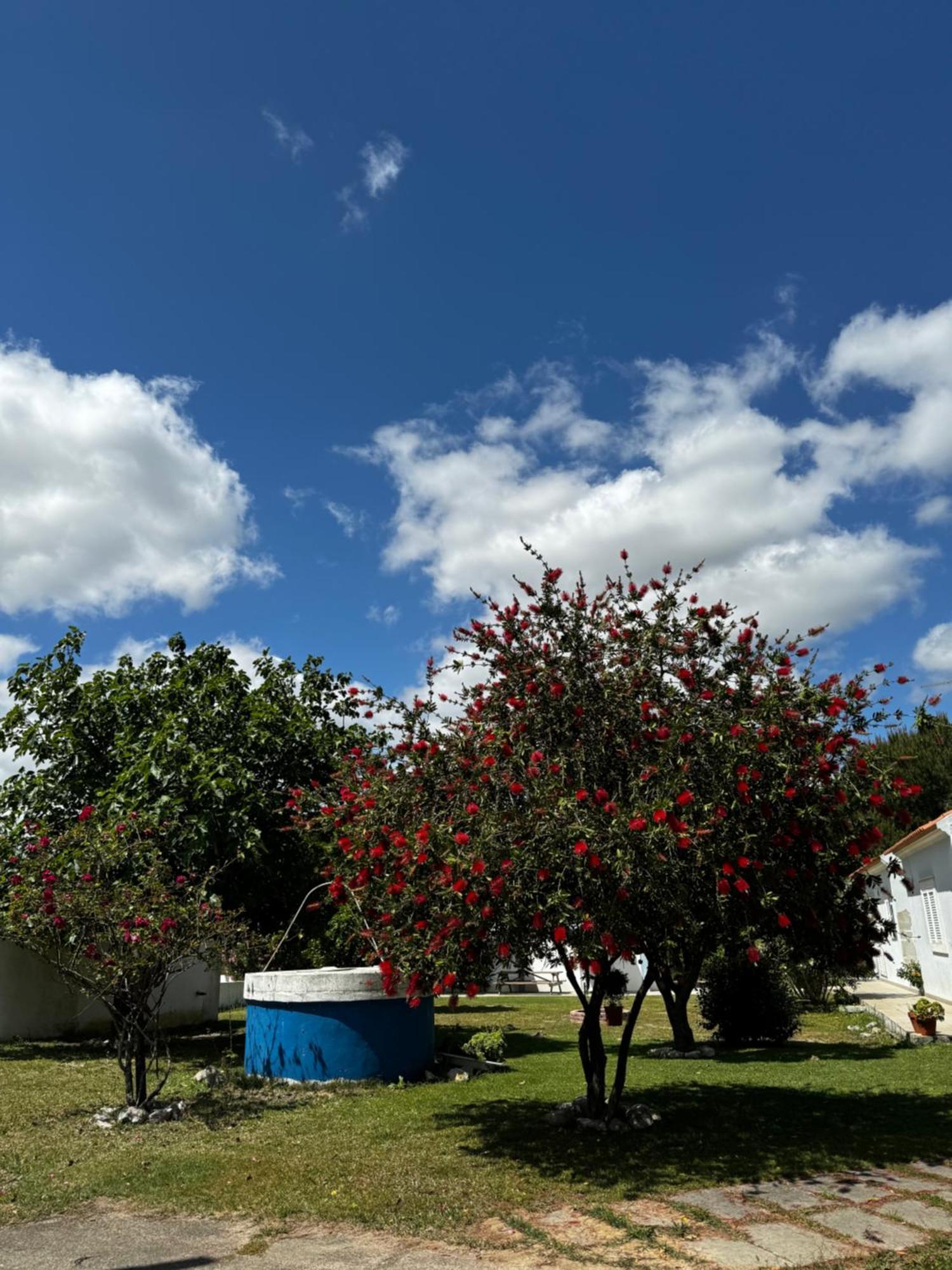 Na Quinta- Alojamento Rural Com Piscina De Agua Salgada Poceirao Екстер'єр фото